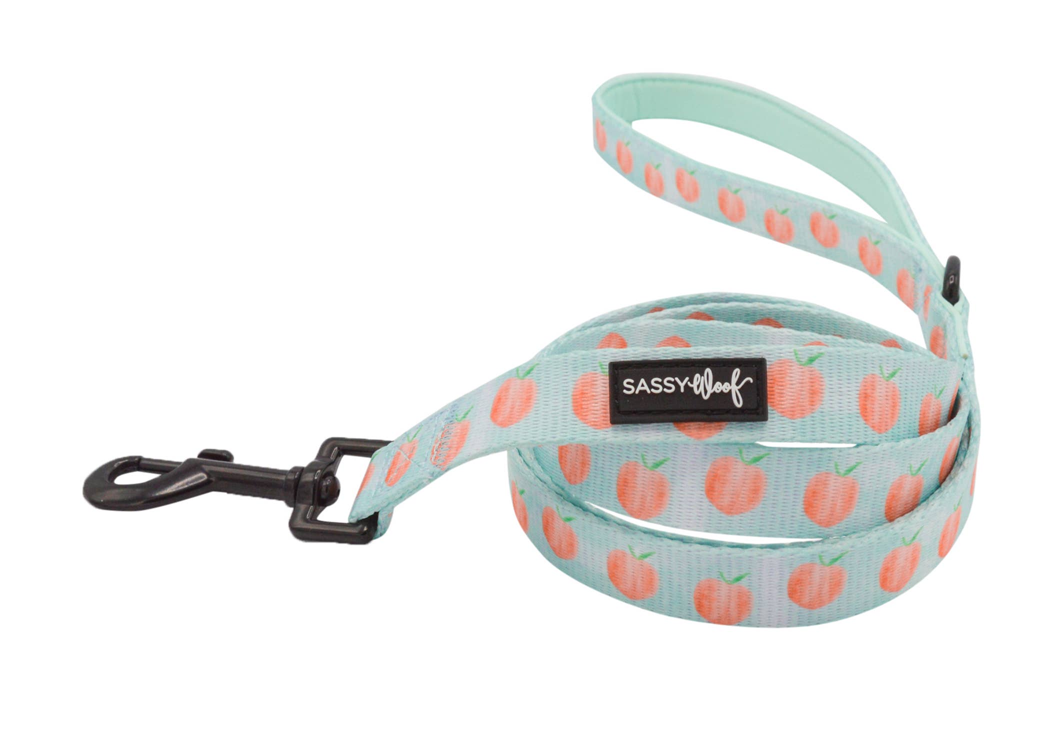 Sassy Woof Rope Leash Cross Body Treat Pouch - Pink – Decker's Dog + Cat