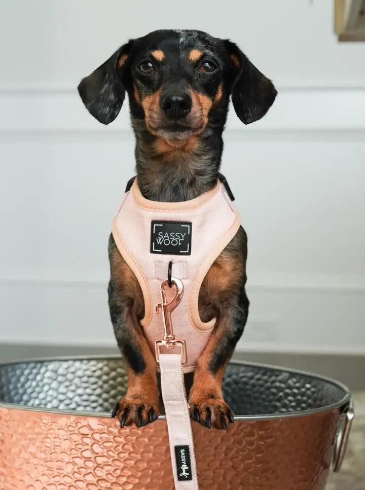 SASSY WOOF - Dog Adjustable Harness - Pinot