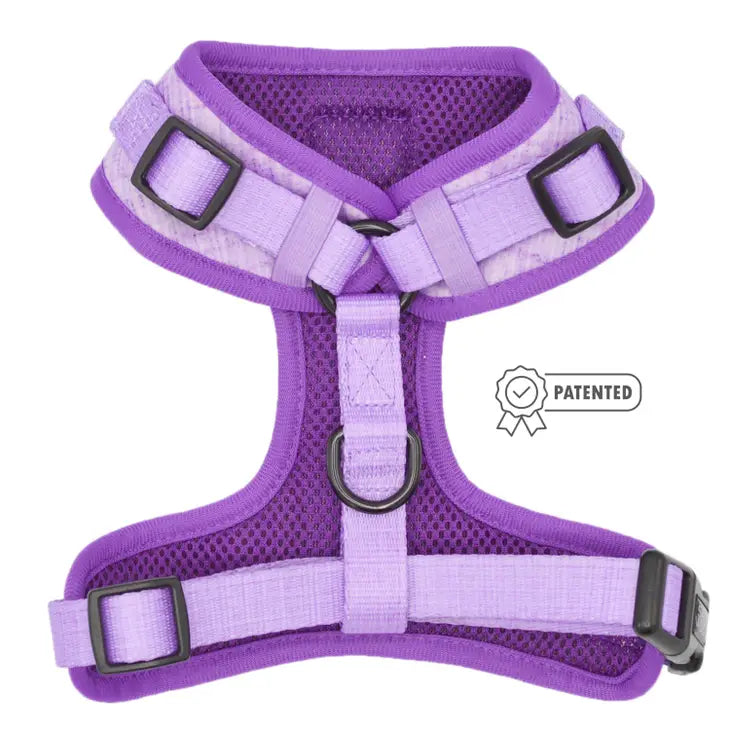 SASSY WOOF - Dog Adjustable Harness - Auroa