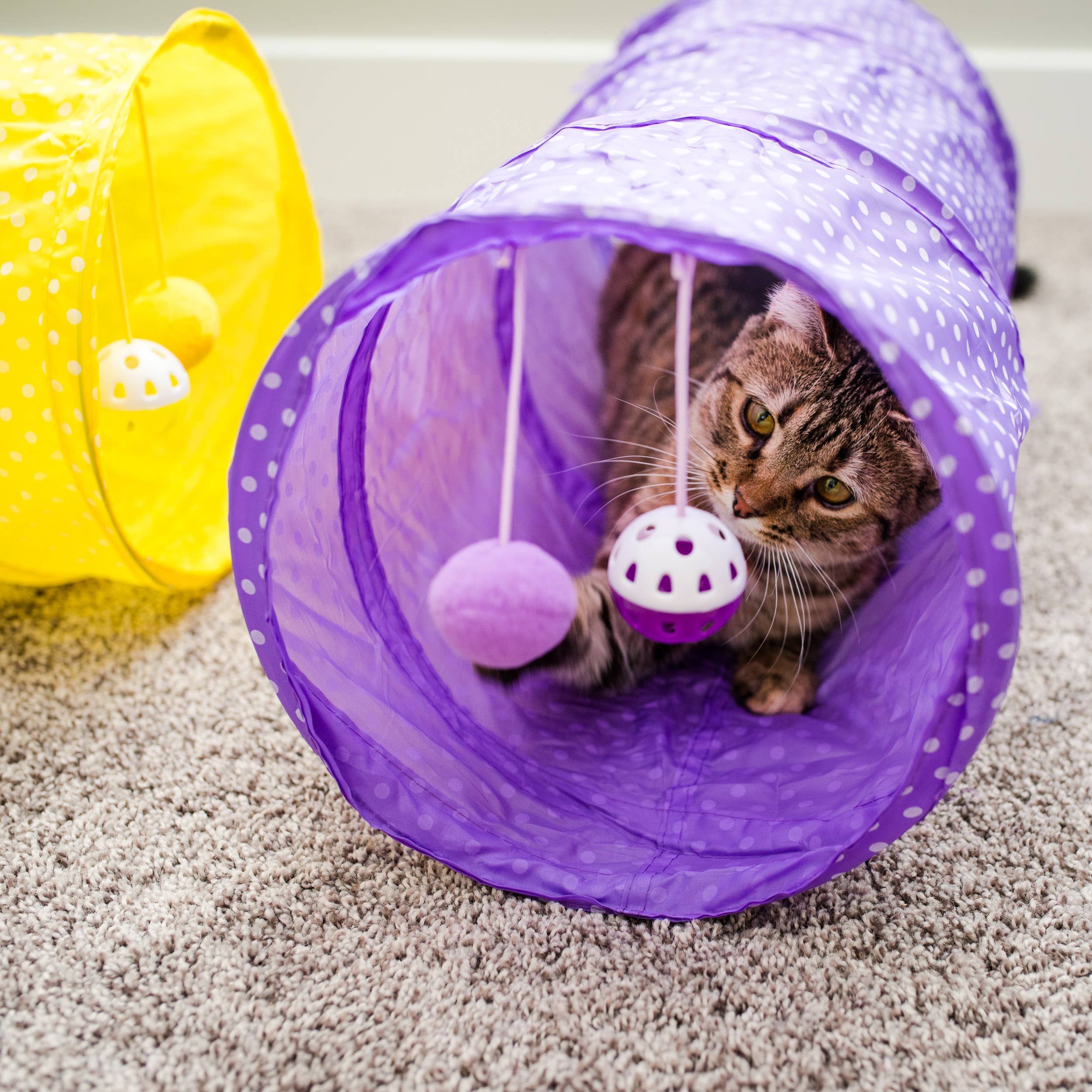 Pet Parade Boutique - Polka Dot Kitty Cat Tunnel Interactive Toy
