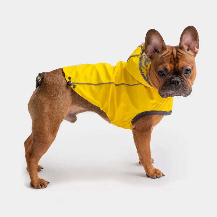 Reversible Raincoat by GF Pet
